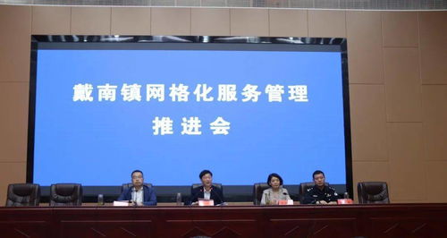 戴南鎮召開網格化服務管理推進會，賦能旅游景區管理升級